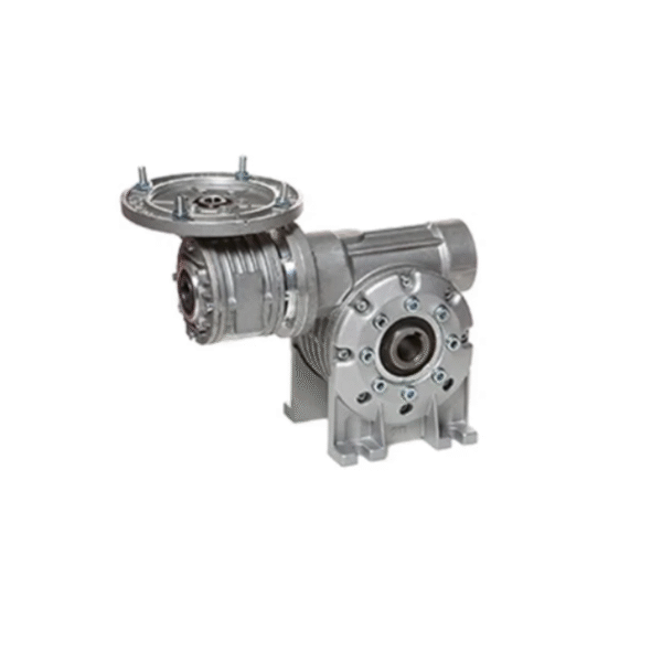 Doubleworm Gearbox 1