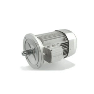 BE Series Electric Motor
