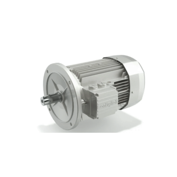 BE Series Electric Motor