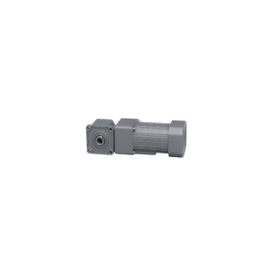 Right angle hollow shaft Gearmotor